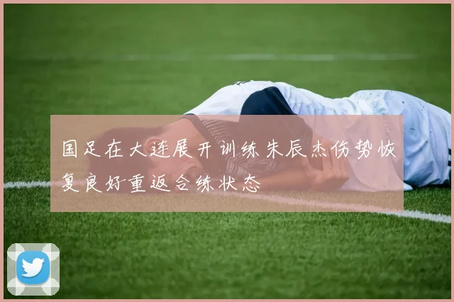 国足在大连展开训练朱辰杰伤势恢复良好重返合练状态